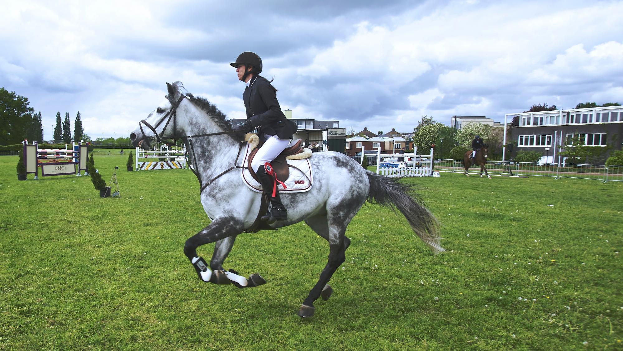 Quoi offrir à un passionné d’équitation ?